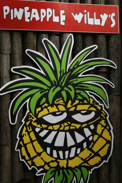 Pineapple Willy's sign