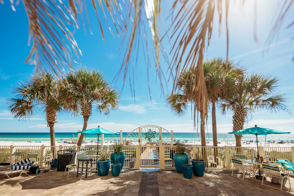 Palm-framed pool deck leading to the turtle beach gate and the Gulf