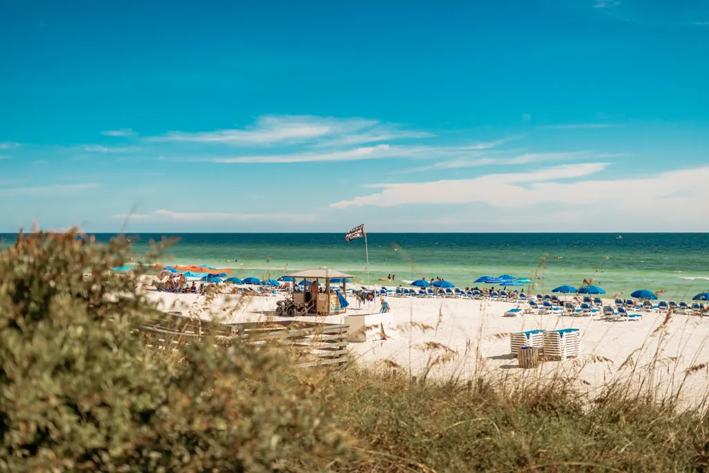 Blue beach umbrellas lining the shore of Panama City Beach seen over the dunes