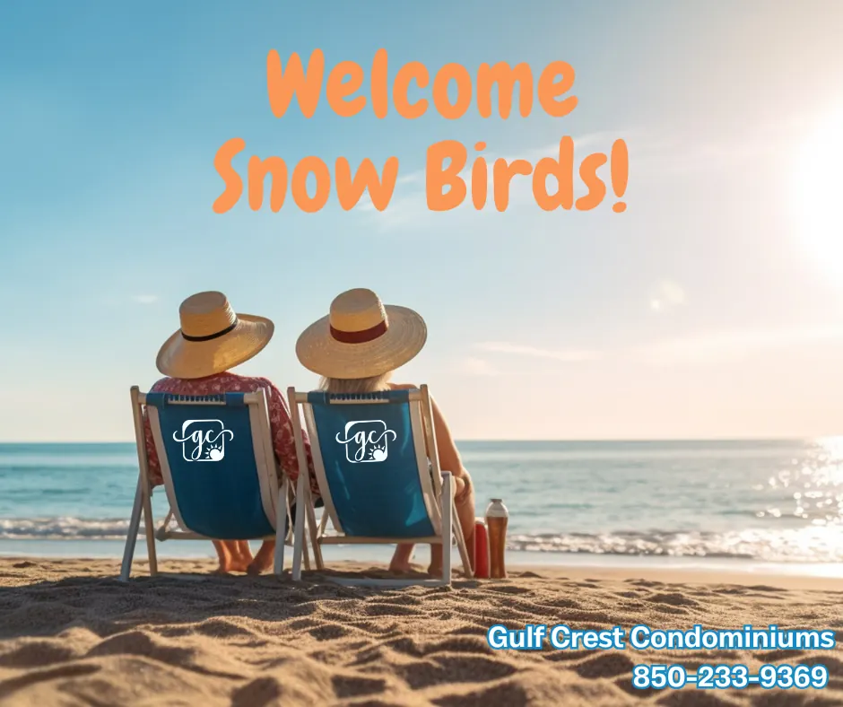 Two beach chairs on the sand with a Welcome Snow Birds message