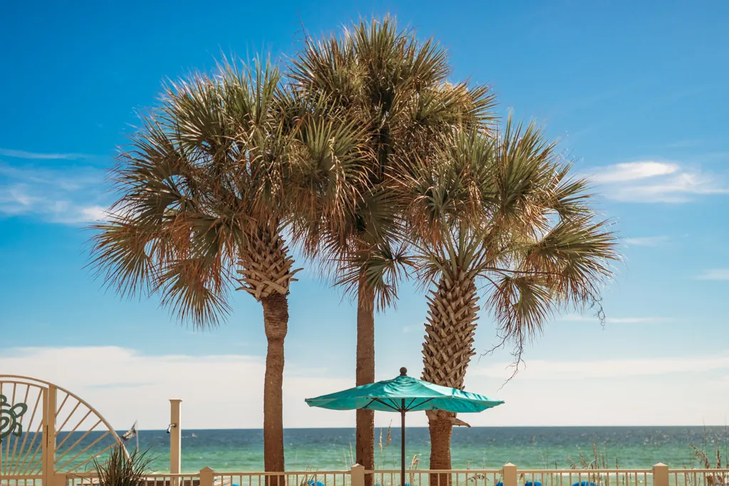 Palm trees and a teal umbrella against a blue sky over the Gulf