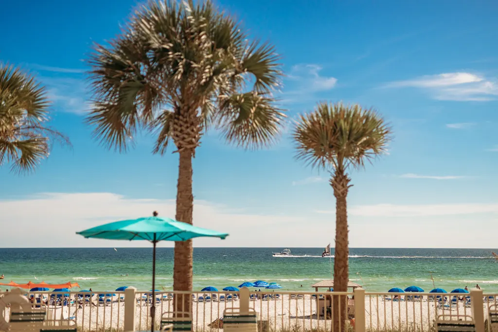 Palms and umbrellas above the beach at Gulf Crest