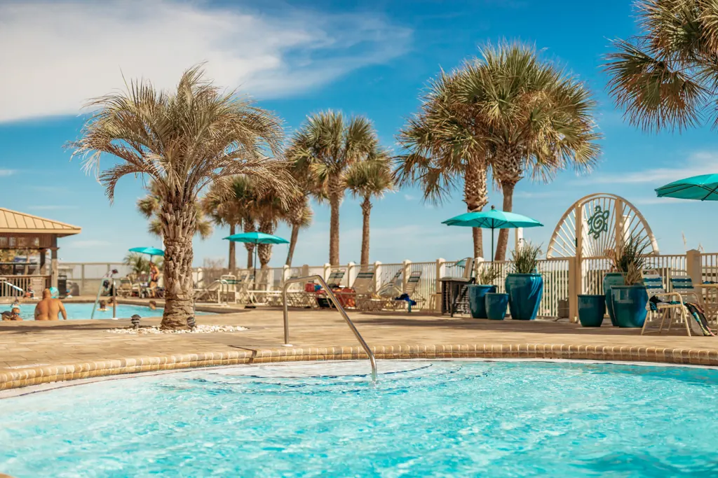 Pool with palm trees and the turtle beach gate on the Gulf Crest pool deck
